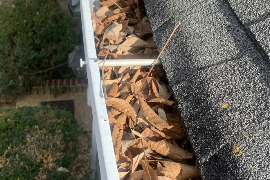 Gutter Cleaning Bucksport