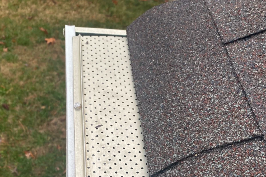 Gutter Cleaning Bucksport