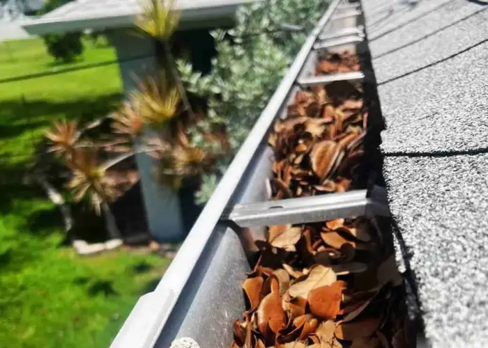 Gutter Cleaning Bucksport home page